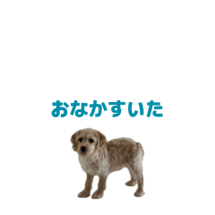 reomaaru_20260401232429