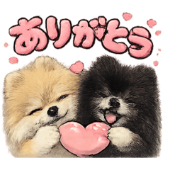 Pome Cafe_20260401230524