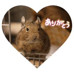 degu chan's stamp