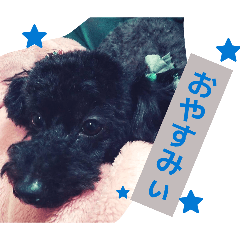 pon@skm320_20260401233032