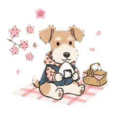 Noah_chan_20260402014831