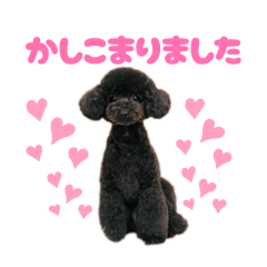 birdiecupcake_20260401233102