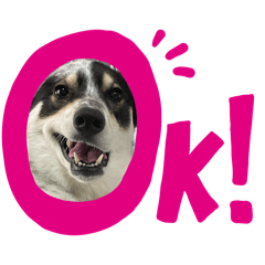 mirai_20260402020846