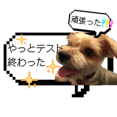 Chloe.S_20260402023448