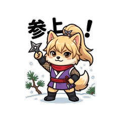 Mochiyuki Ninja Play