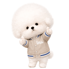 Cute Overload! Bichon Chan