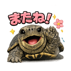 Shuki_20260401175525