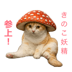 orange_20260401195505