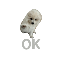 nekoyuu_20260401202252