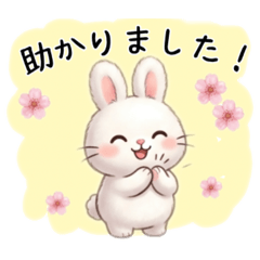 chocotto_20260401202556