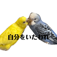 takkun_20260402000402