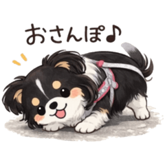 KaiMomo_20260402015631