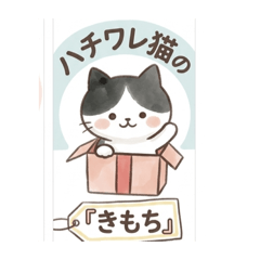 odayakamaigo_20260402015930