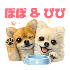 eichi_20260401202112