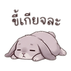 Wonderful_20260401133644