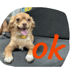 mothhminho_20260401140342