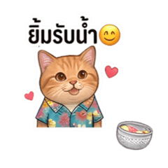 sontayar_20260401141446