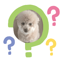 tensai_20260401191237