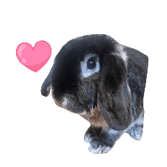 minmana_20260401191749