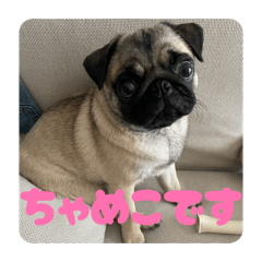 taisei_20260401191215