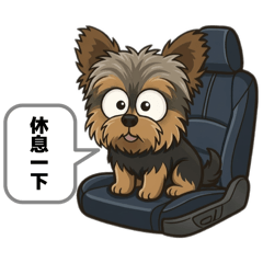 我是約克夏Q比 （小狗日常）