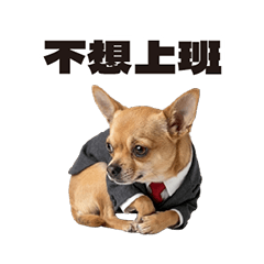 吉娃娃的社畜日常 - 文字版