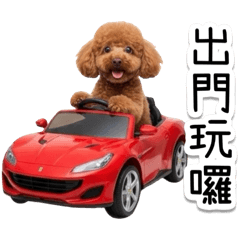 啵吉的可愛日常