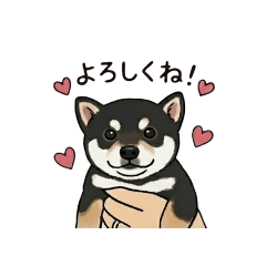 aduki._.0905_20260401220941