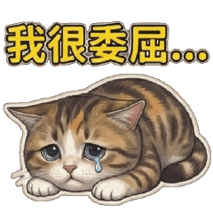 白爛貓球♥可憐喵喵