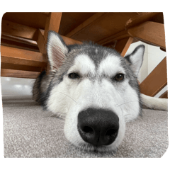 yuka_20260402030441