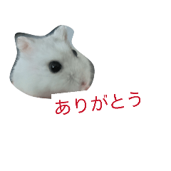 kanna_20260401151555