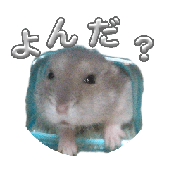 reeen0110_20260401192721