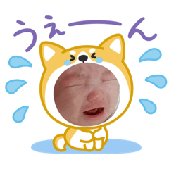 petit louis_20260401193849