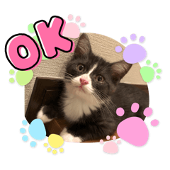 chizu_20260401193848