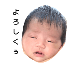 daice_20260402034507