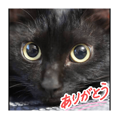 takeru_20260402035552