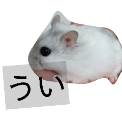 kanna_20260402085519