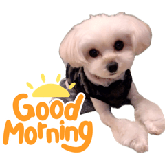 mint129_20260402084640