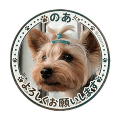 hihihi_20260402085849