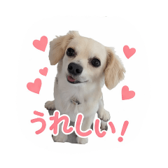 koharu_20260401160351