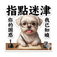 小不點相命日常