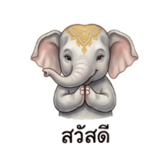 b bottom_20260401160643