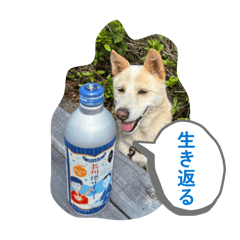 Kametani_20260401233402