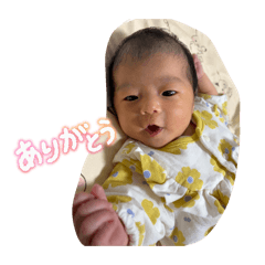 pakupaku_20260401234429