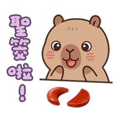 卡皮巴拉 聖筊啦 萬用 實用 粉 貼圖