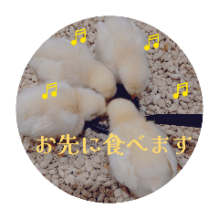 yukko_20260401234205