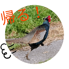 kuwakuwa_20260401234200