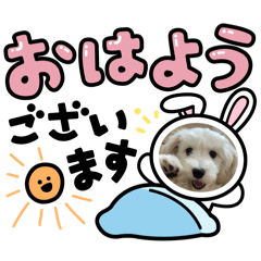 moko0303_20260401233426