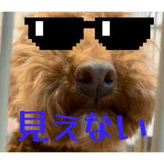 toy Chaco_20260402102429