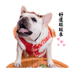 豆豆生活特輯第二集